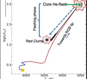 Anomalously large abundance of lithium in low mass red giants traced to He-flashing phase of 2 million years