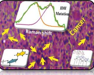 Cancer causing virus affects the glial cells in central nervous system: Study by DST supported FIST facility