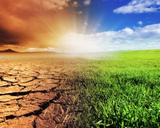 IIT Guwahati & IIM Bangalore Researchers make breakthrough in pricing ‘Carbon Risk,’ find long-term risks for stocks of polluting firms