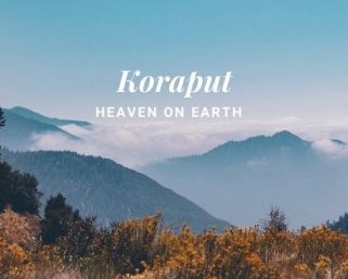 Koraput’s Wild Crops Possess Immense Potential for Nutritional Security & Health Benefits