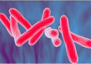 A new boost to anti-TB crusade