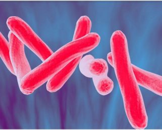 A new boost to anti-TB crusade