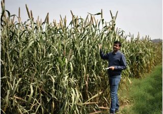 Must-Have Millets – A detailed look at nutri-cereals that offer food and nutritional security