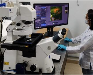 INST steering ahead with nanoscience and technology-based breakthroughs